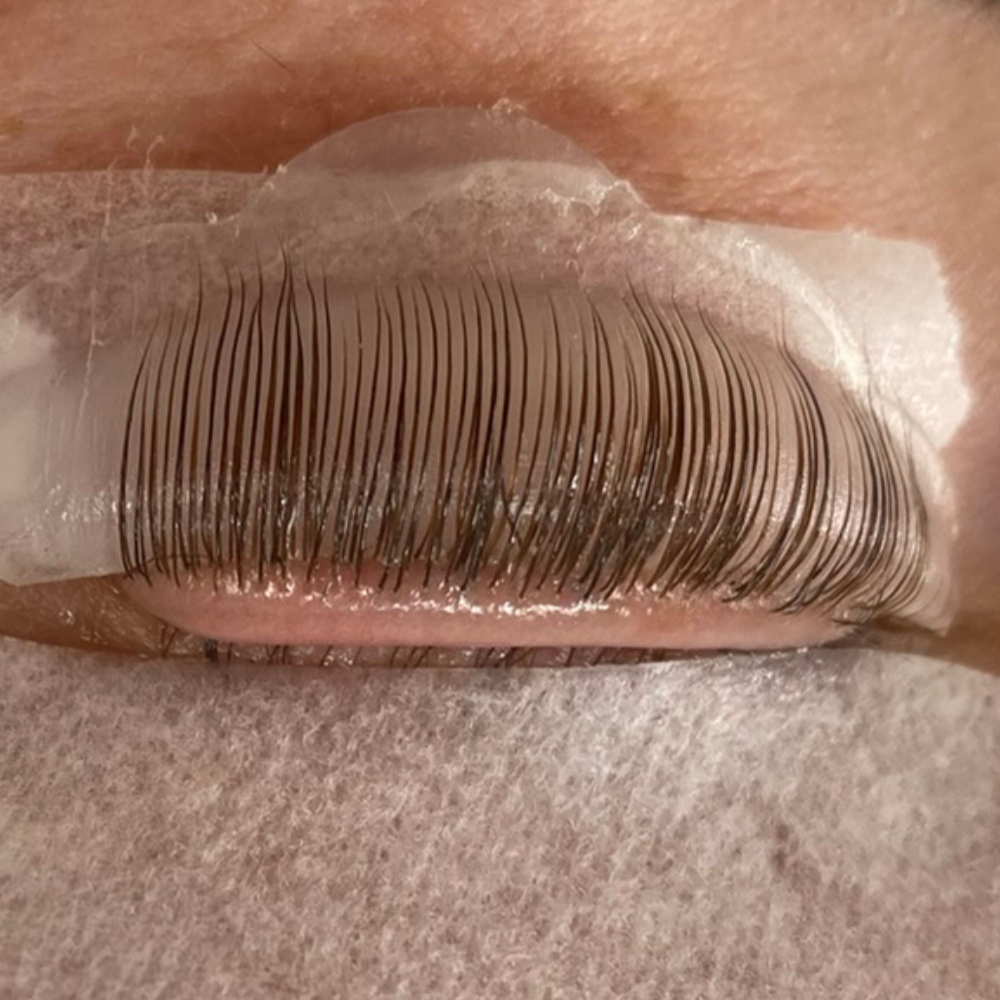Wimpern beim Lifting sorgfältig mit Balm auf Pad fixiert