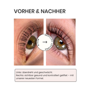 Lash & Brow Lift Fixing Lotion 2 - 10er Packung
